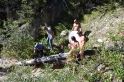 back (104)